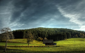 Campos agrícolas, casa, árvores, nuvens HD Papéis de Parede