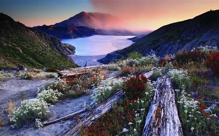 Flores, inclinação, lago vulcânico, árvores, montanhas, amanhecer, nevoeiro Papéis de Parede, imagem