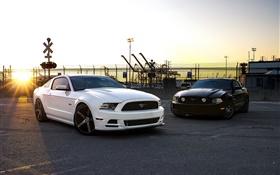 Ford Mustang carros brancos e negros HD Papéis de Parede