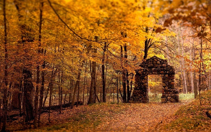 Floresta, árvores, outono, estilo vermelho, portão de pedra Papéis de Parede, imagem