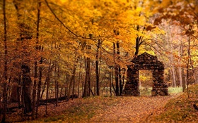 Floresta, árvores, outono, estilo vermelho, portão de pedra