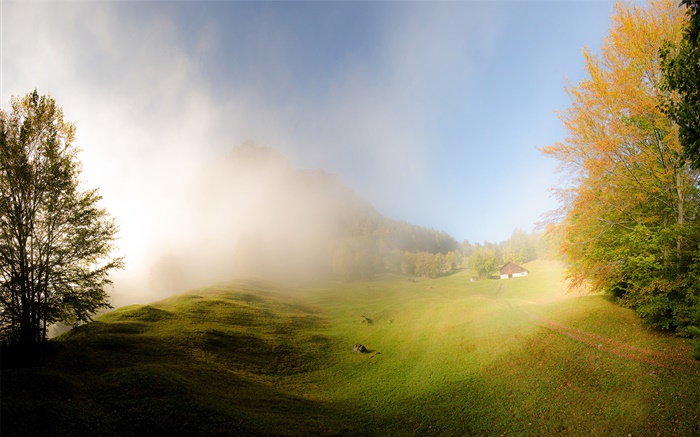 Relva, névoa, manhã, casa, Glarus, Suíça Papéis de Parede, imagem