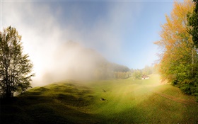 Relva, névoa, manhã, casa, Glarus, Suíça HD Papéis de Parede