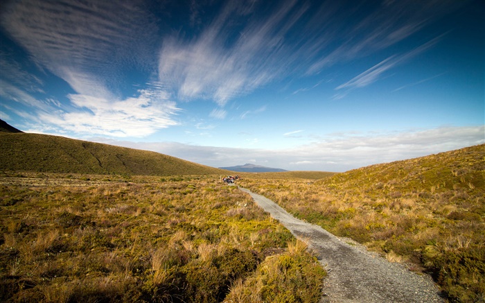 Estrada de cascalho, grama, península de Coromandel, Nova Zelândia Papéis de Parede, imagem