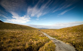 Estrada de cascalho, grama, península de Coromandel, Nova Zelândia