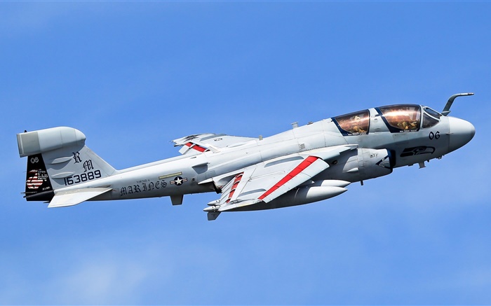 Aeronaves Grumman EA-6B Prowler Papéis de Parede, imagem