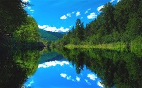 Lago, floresta, árvores, céu azul, reflexão da água HD Papéis de Parede