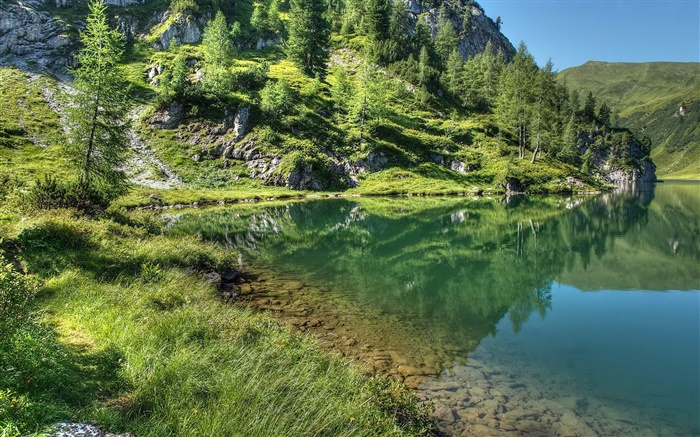 Lago, montanha, árvores, grama, reflexão da água Papéis de Parede, imagem