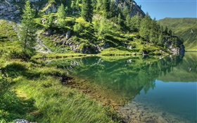 Lago, montanha, árvores, grama, reflexão da água