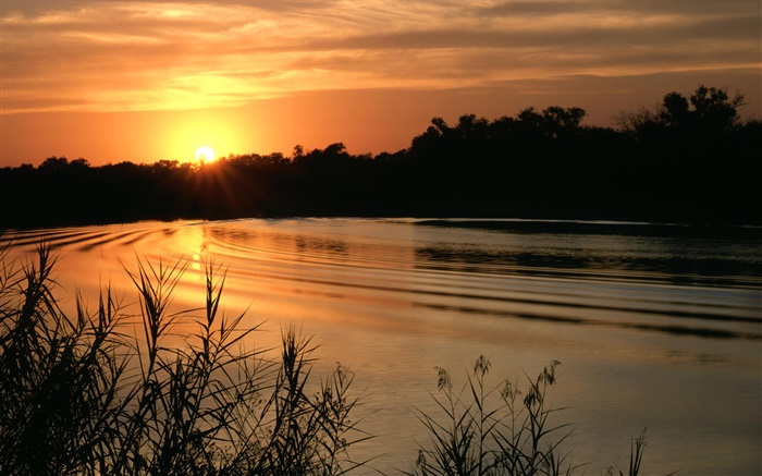 Lago, por do sol, grama, crepúsculo Papéis de Parede, imagem