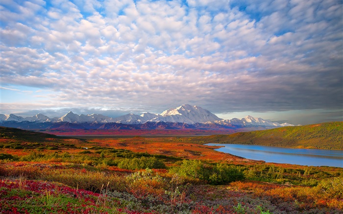Lago, árvores, nuvens, crepúsculo, Denali National Park, Alaska, EUA Papéis de Parede, imagem