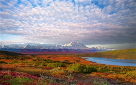 Lago, árvores, nuvens, crepúsculo, Denali National Park, Alaska, EUA