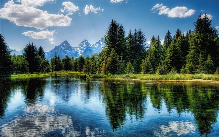 Lago, árvores, montanhas, nuvens, reflexão da água Papéis de Parede, imagem