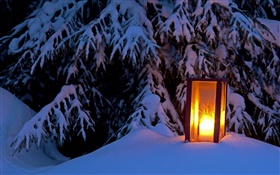 Lanterna acesa, árvore nevado, inverno