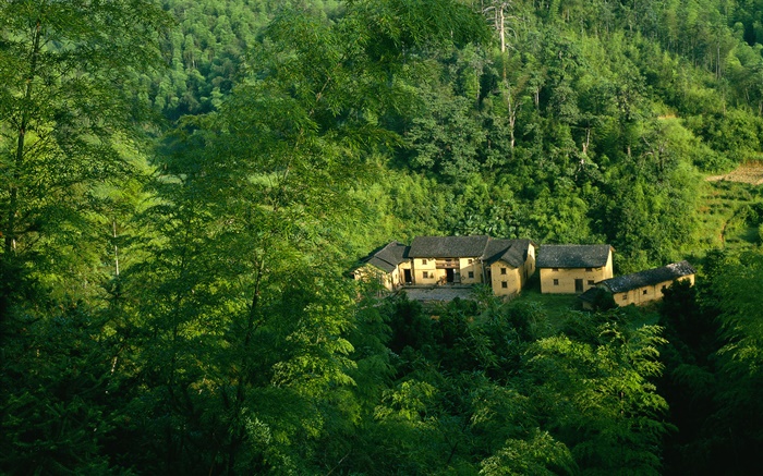 Montanhas, árvores, verde, casa velha, Paisagem chinesa Papéis de Parede, imagem