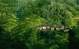 Montanhas, árvores, verde, casa velha, Paisagem chinesa HD Papéis de Parede