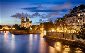Notre Dame, França, rio, árvores, casa, noite, luzes