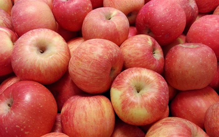Frutas ricas em nutrientes, maçãs vermelhas Papéis de Parede, imagem
