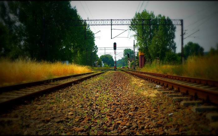 estrada de ferro, árvores, linhas de energia, luz vermelha Papéis de Parede, imagem