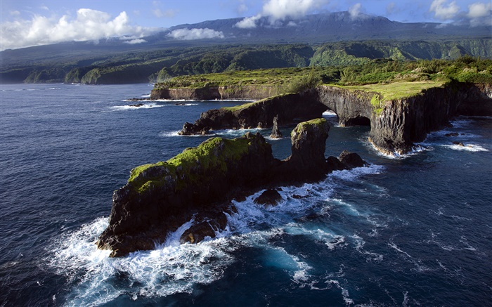 Costa rochosa, Oceano Pacífico, Maui, Hawaii Papéis de Parede, imagem