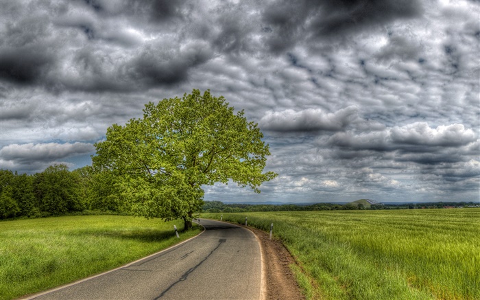 Grossas nuvens, árvores, grama, estrada, casa Papéis de Parede, imagem