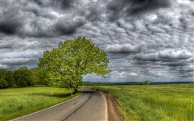 Grossas nuvens, árvores, grama, estrada, casa