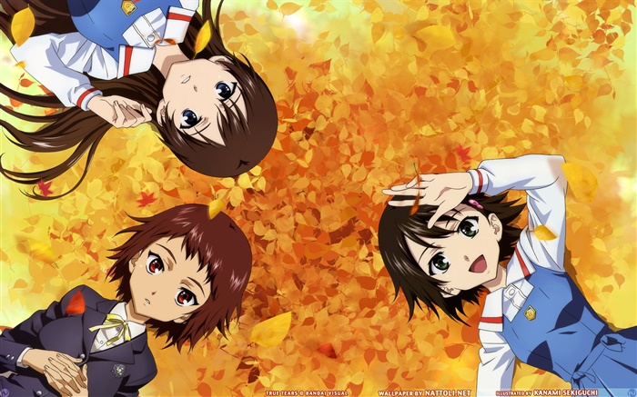 Três meninas do anime terra deitado Papéis de Parede, imagem