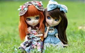 Duas meninas de brinquedo, cabelo vermelho e preto, boneca HD Papéis de Parede