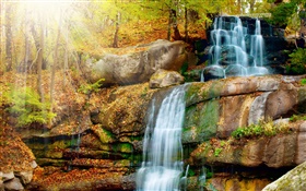 Cachoeiras, pedras, outono, árvores, sol