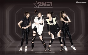 2NE1, meninas da música coreana 07 HD Papéis de Parede
