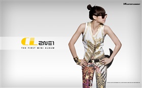 2NE1, meninas da música coreana 09 HD Papéis de Parede