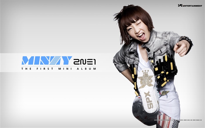 2NE1, meninas da música coreana 11 Papéis de Parede, imagem