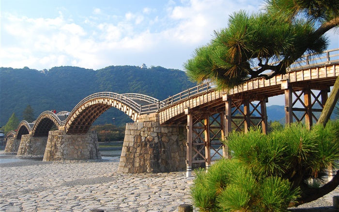Ponte de madeira em arco, árvores Papéis de Parede, imagem