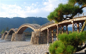 Ponte de madeira em arco, árvores HD Papéis de Parede