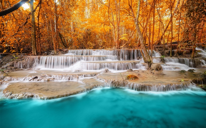 Outono, floresta, árvores, rio, cachoeiras Papéis de Parede, imagem