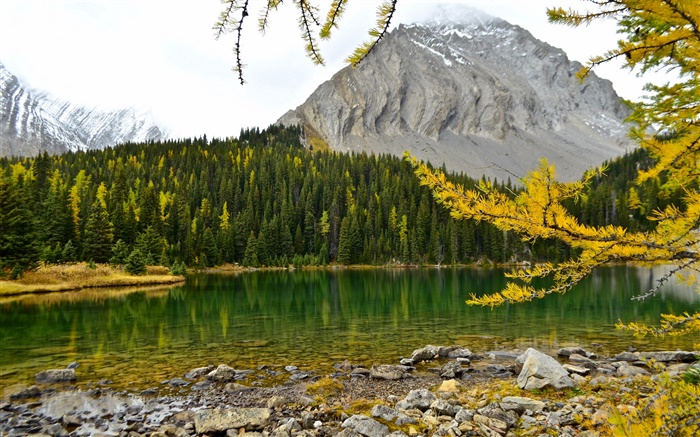 Chester Lake, Montanhas Rochosas canadenses, Alberta, Canadá, lago, montanhas, floresta Papéis de Parede, imagem
