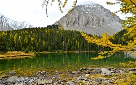 Chester Lake, Montanhas Rochosas canadenses, Alberta, Canadá, lago, montanhas, floresta HD Papéis de Parede