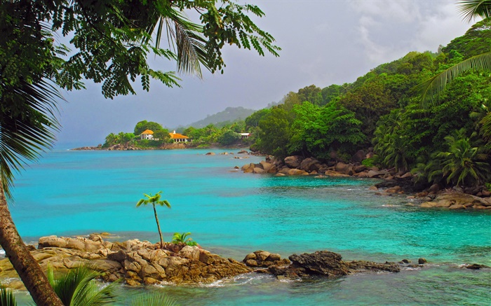 Costa, mar, árvores, casas, Seychelles Ilha Papéis de Parede, imagem