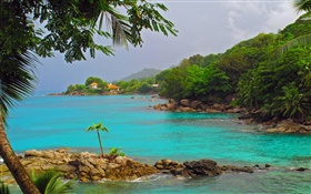 Costa, mar, árvores, casas, Seychelles Ilha HD Papéis de Parede