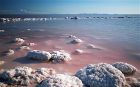 Mar Morto, praia, sal HD Papéis de Parede