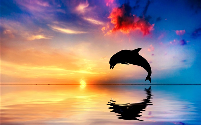 Dolphin jump, silhueta, oceano, reflexão da água, pôr do sol Papéis de Parede, imagem