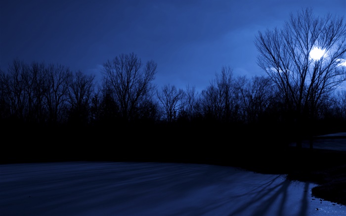 Lake Páscoa, árvores, noite, lua, Des Moines, Iowa, EUA Papéis de Parede, imagem