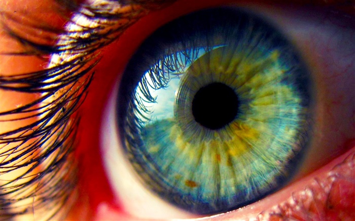 Olhos close-up, pestanas Papéis de Parede, imagem