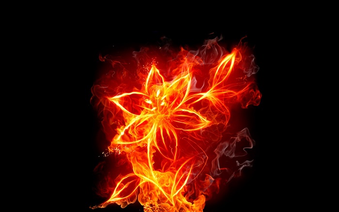 Flor com fogo, design criativo Papéis de Parede, imagem