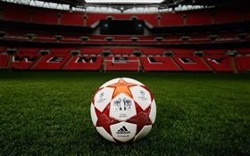 Futebol, Liga dos Campeões, campo de grama, estádio, Wembley