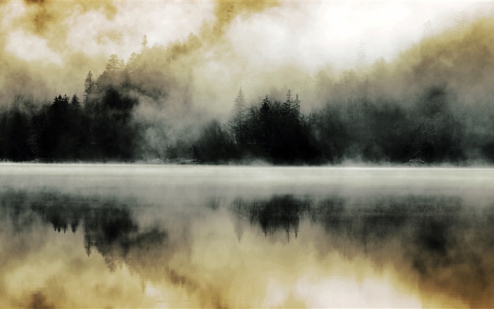 Floresta, lago, névoa, alvorecer, reflexão da água Papéis de Parede, imagem