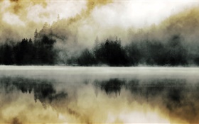 Floresta, lago, névoa, alvorecer, reflexão da água