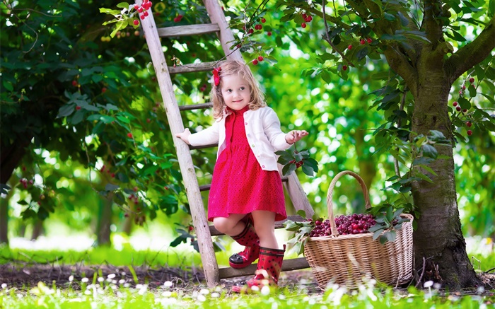 Menina que escolhe cerejas, criança, árvore, jardim Papéis de Parede, imagem
