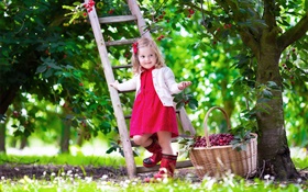 Menina que escolhe cerejas, criança, árvore, jardim