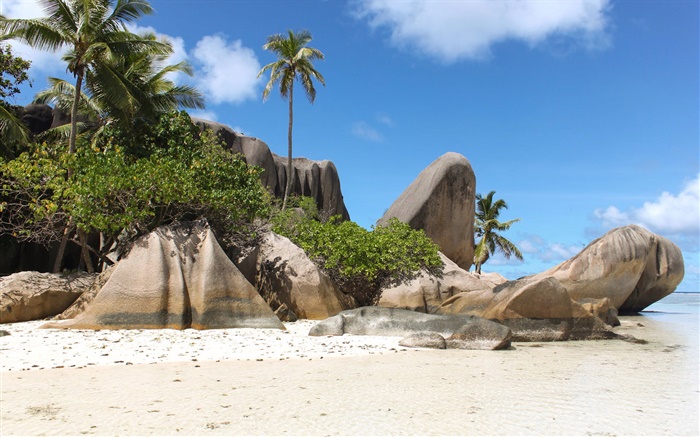 Seychelles Island, praia, pedras, palmeiras Papéis de Parede, imagem
